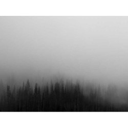 Durable Plastic Shirt fr-FR